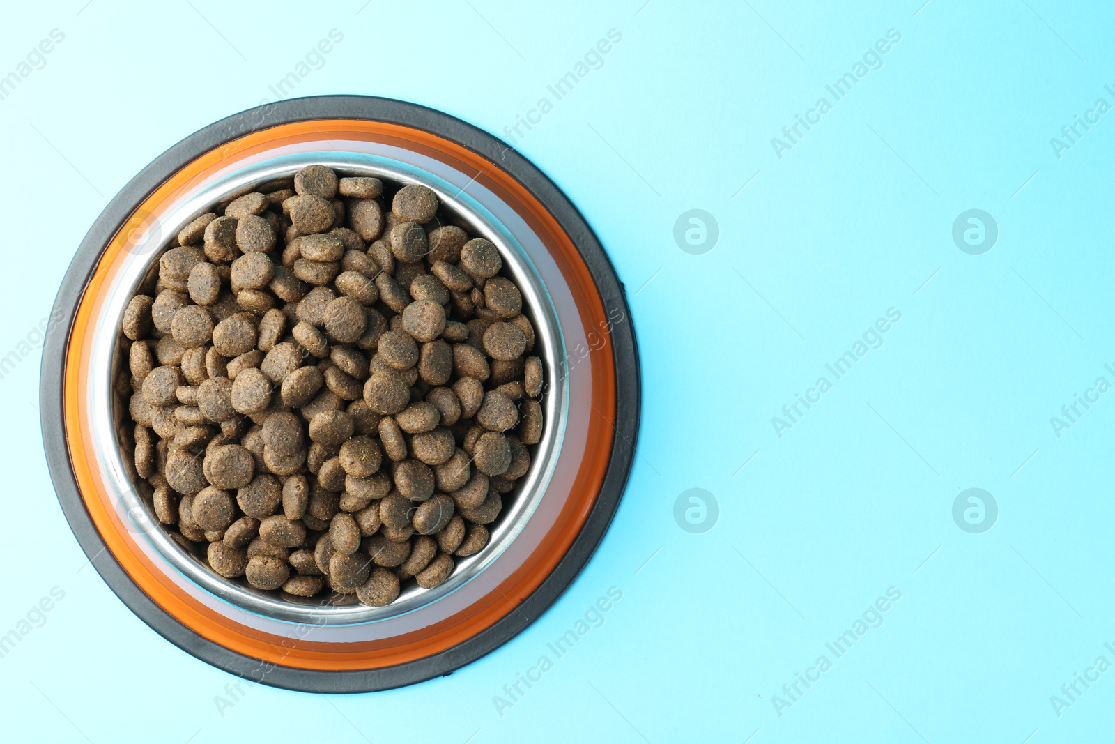 Photo of Dry pet food in feeding bowl on light blue background, top view. Space for text