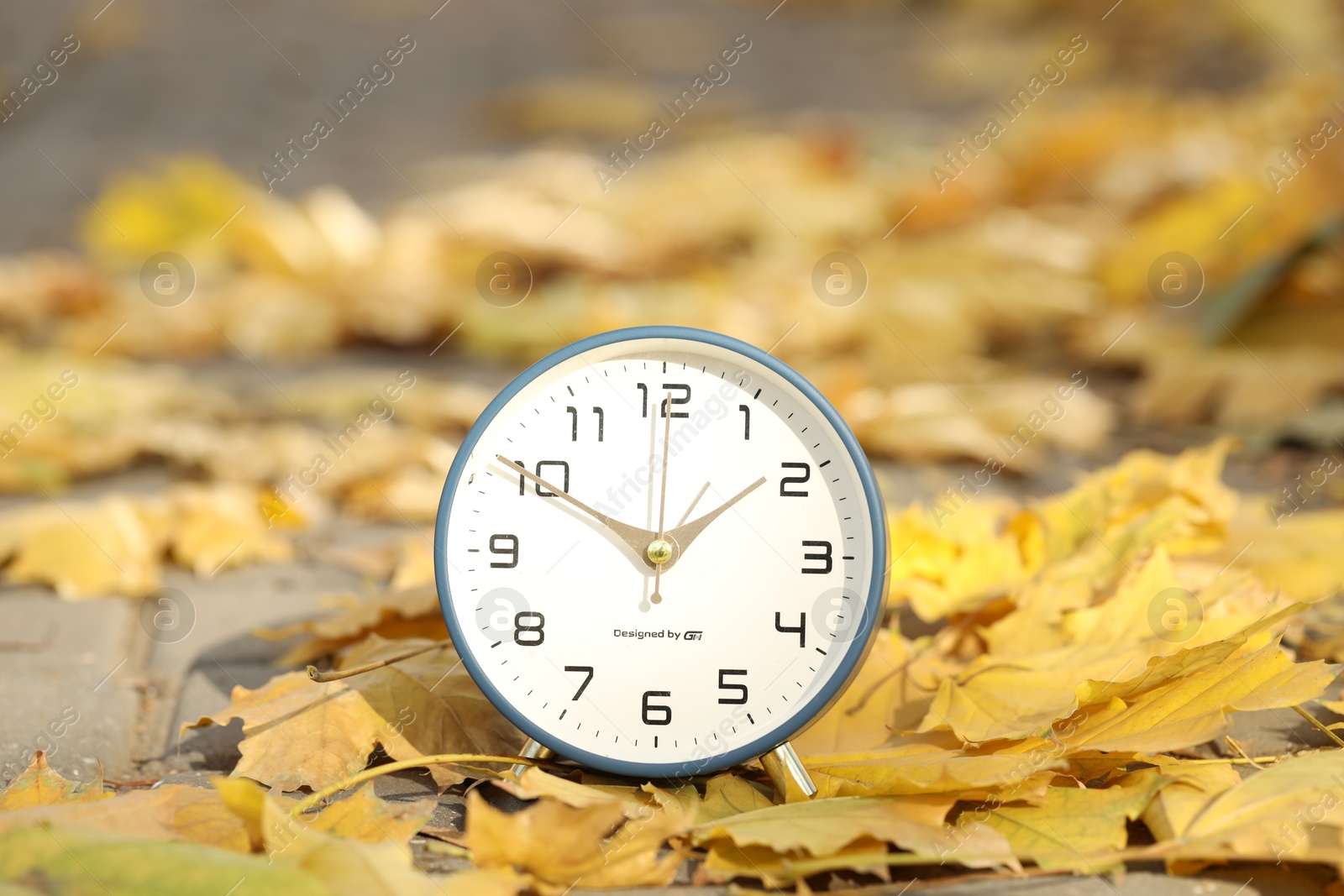 Photo of Autumn time. Alarm clock and fallen leaves on pathway outdoors, closeup