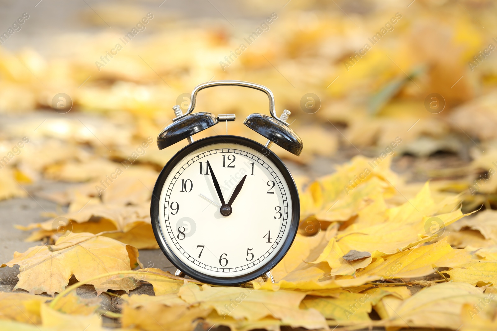 Photo of Autumn time. Alarm clock and fallen leaves on pathway outdoors, closeup