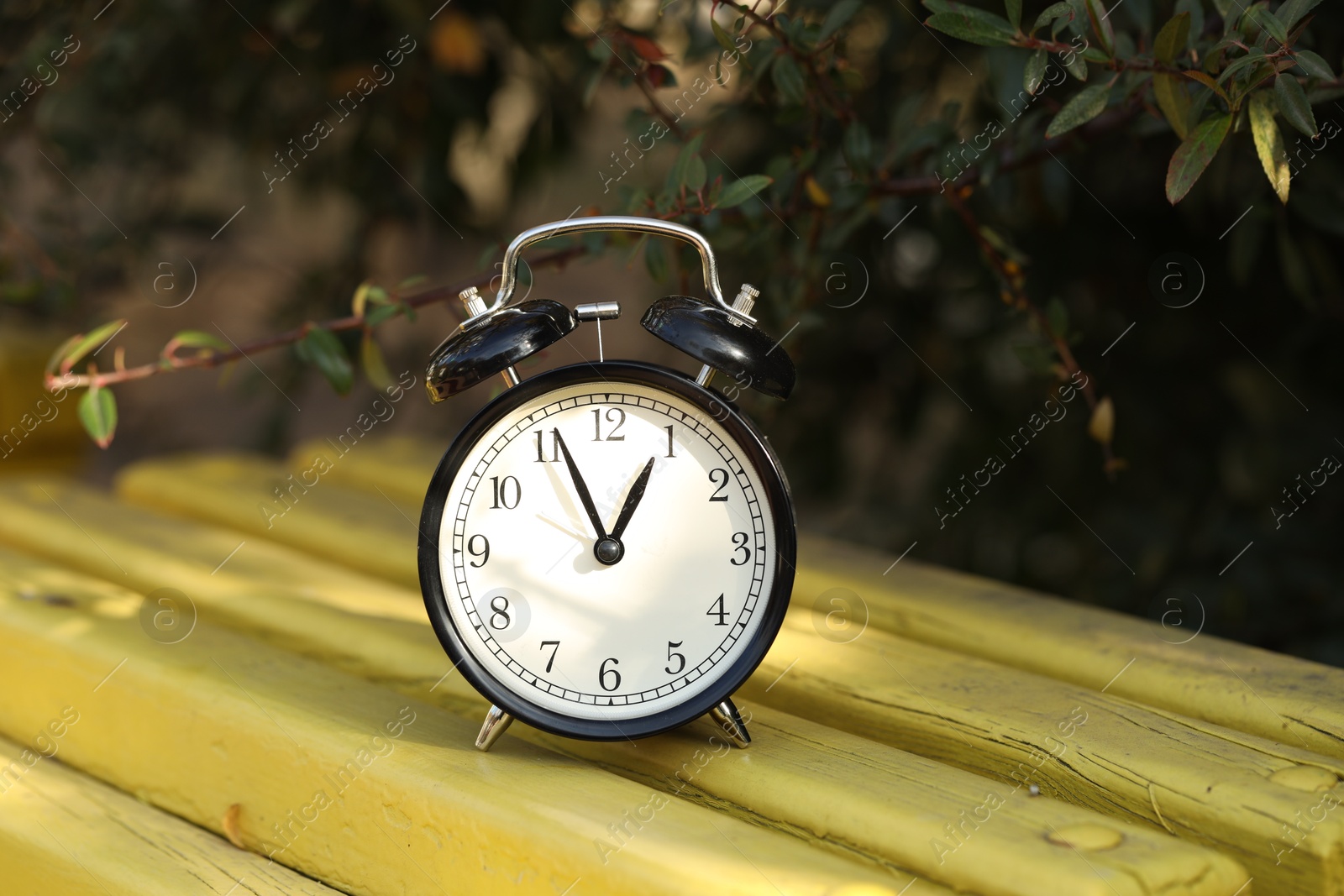 Photo of Autumn time. Alarm clock on bench outdoors, closeup