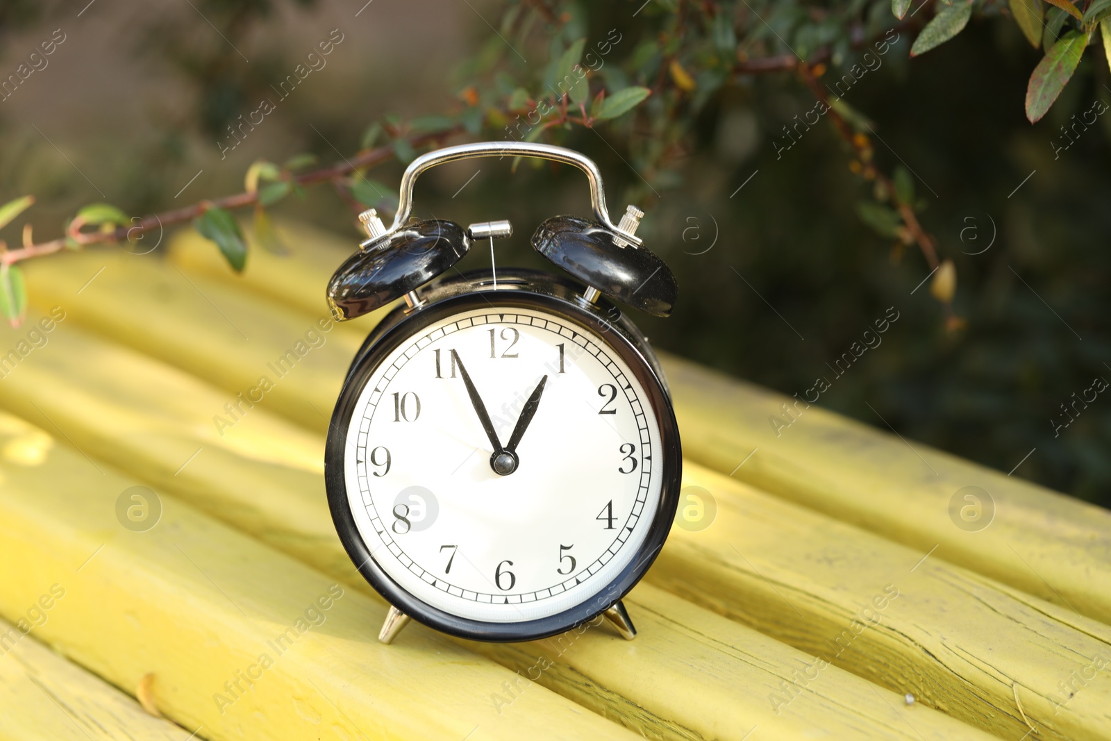 Photo of Autumn time. Alarm clock on bench outdoors, closeup