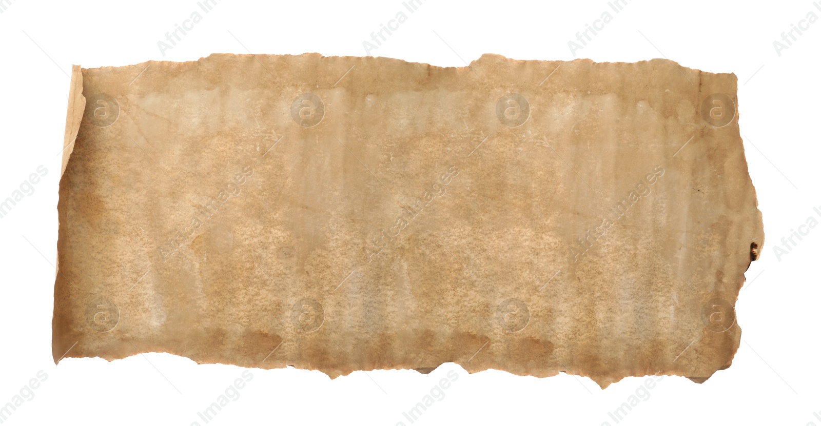 Image of Scroll of old parchment paper isolated on white