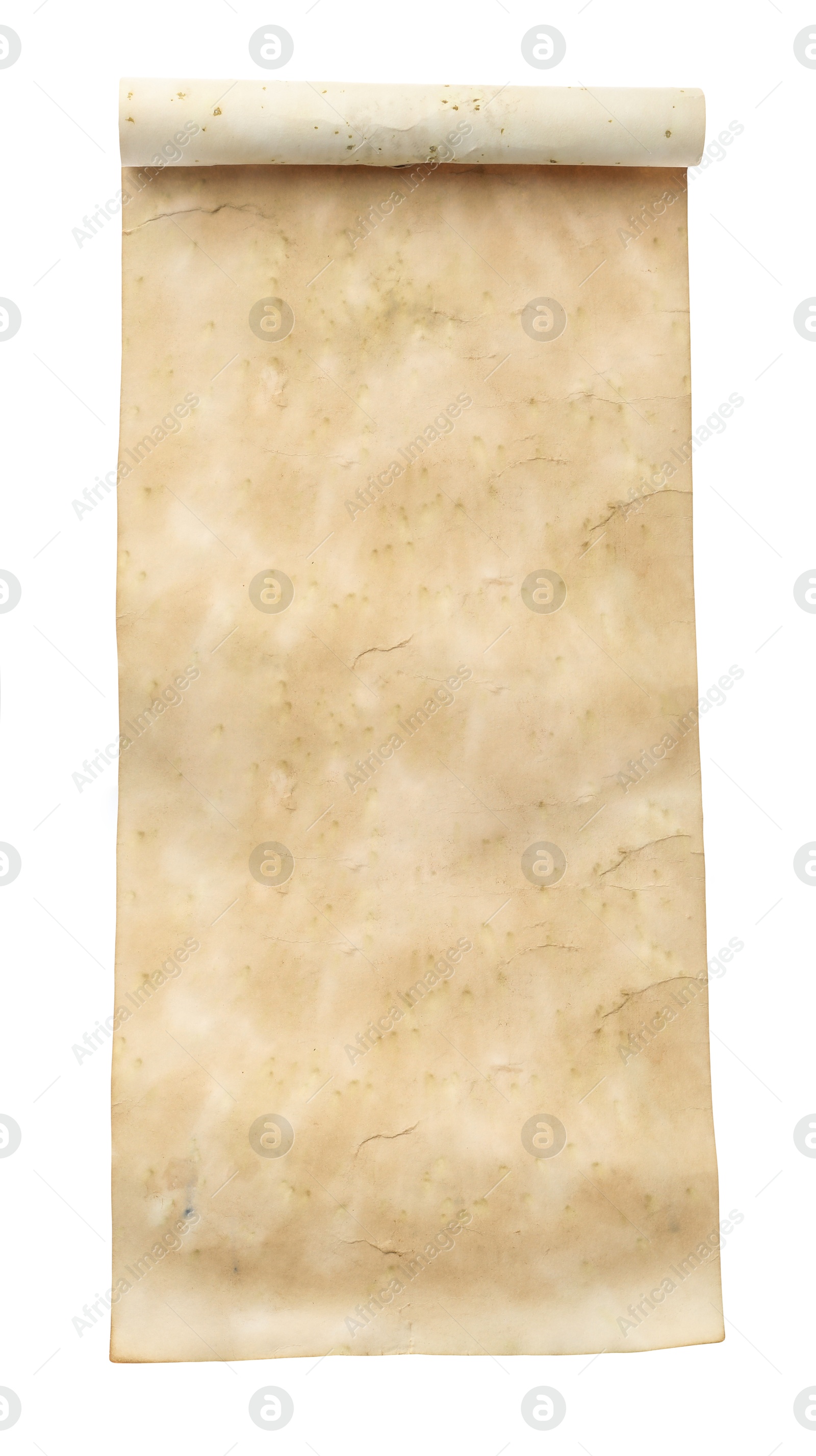 Image of Scroll of old parchment paper isolated on white