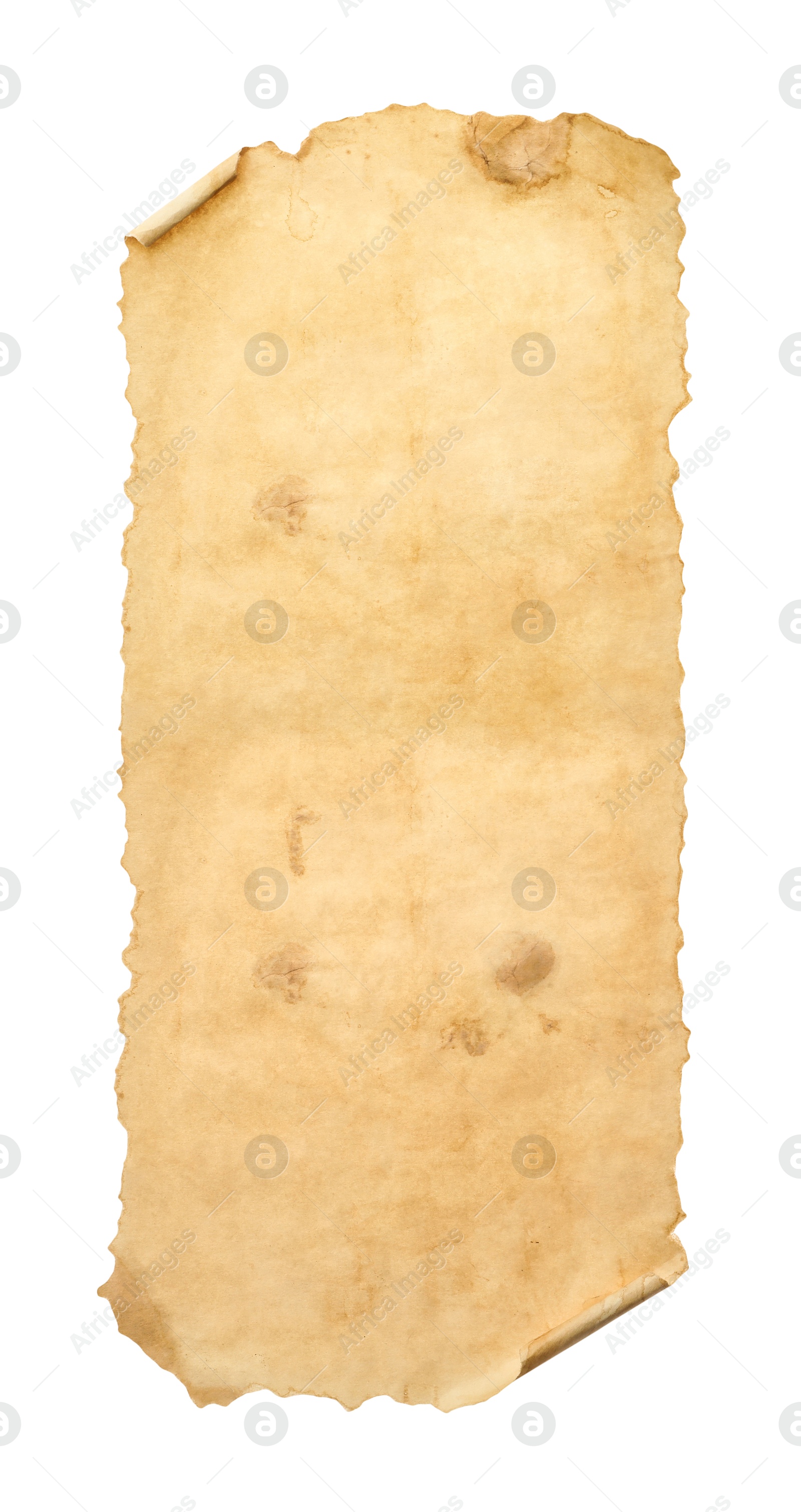 Image of Scroll of old parchment paper isolated on white