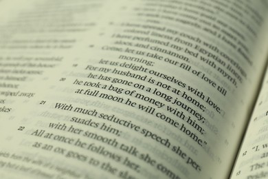 Photo of Open Holy Bible in English language as background, closeup