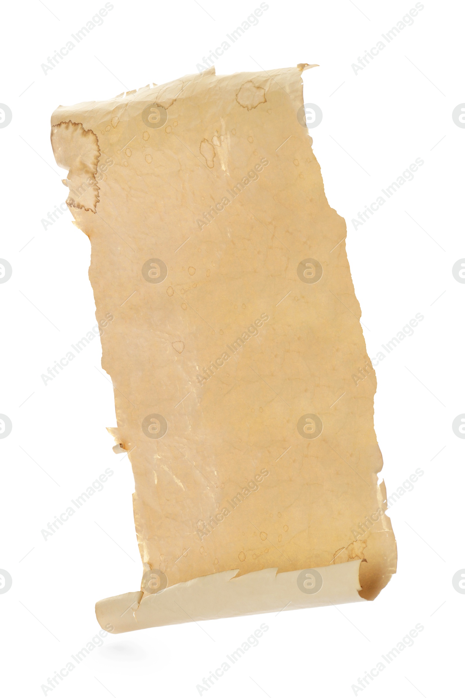 Image of Scroll of old parchment paper isolated on white