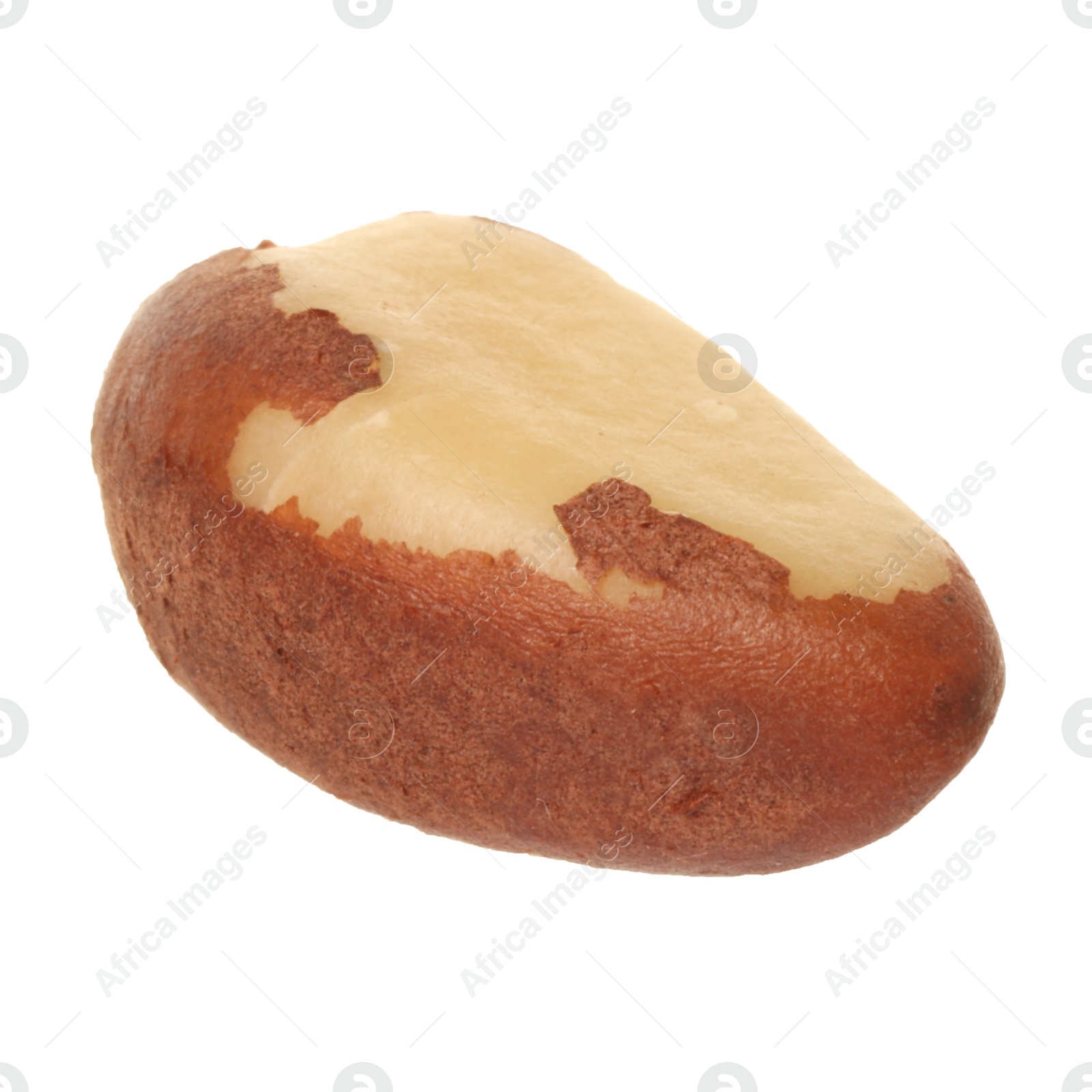 Photo of One tasty Brazil nut isolated on white