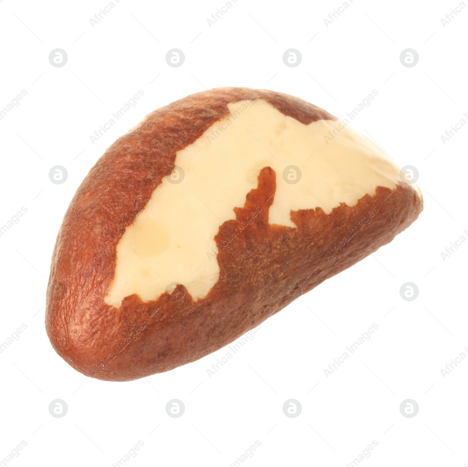 Photo of One tasty Brazil nut isolated on white