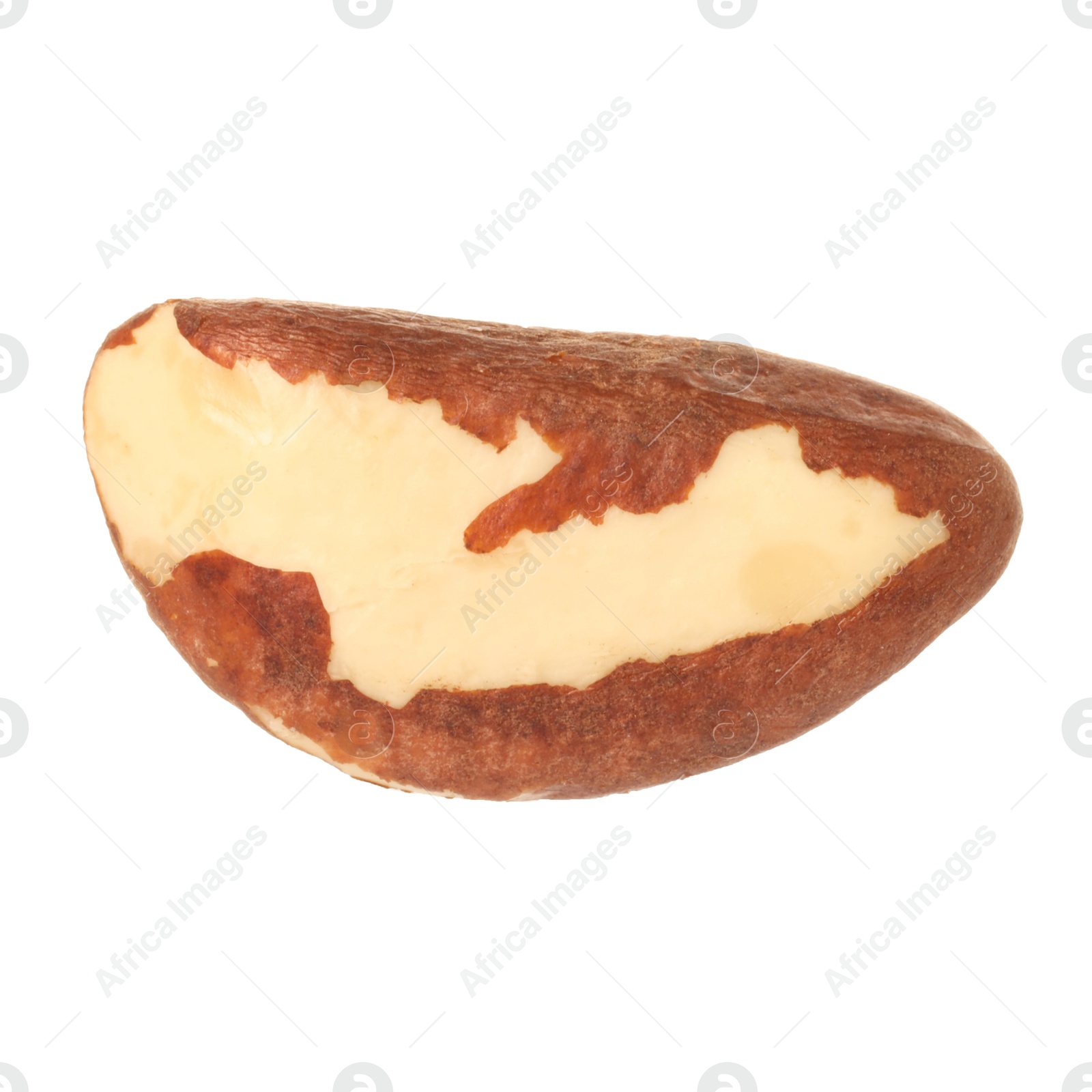 Photo of One tasty Brazil nut isolated on white