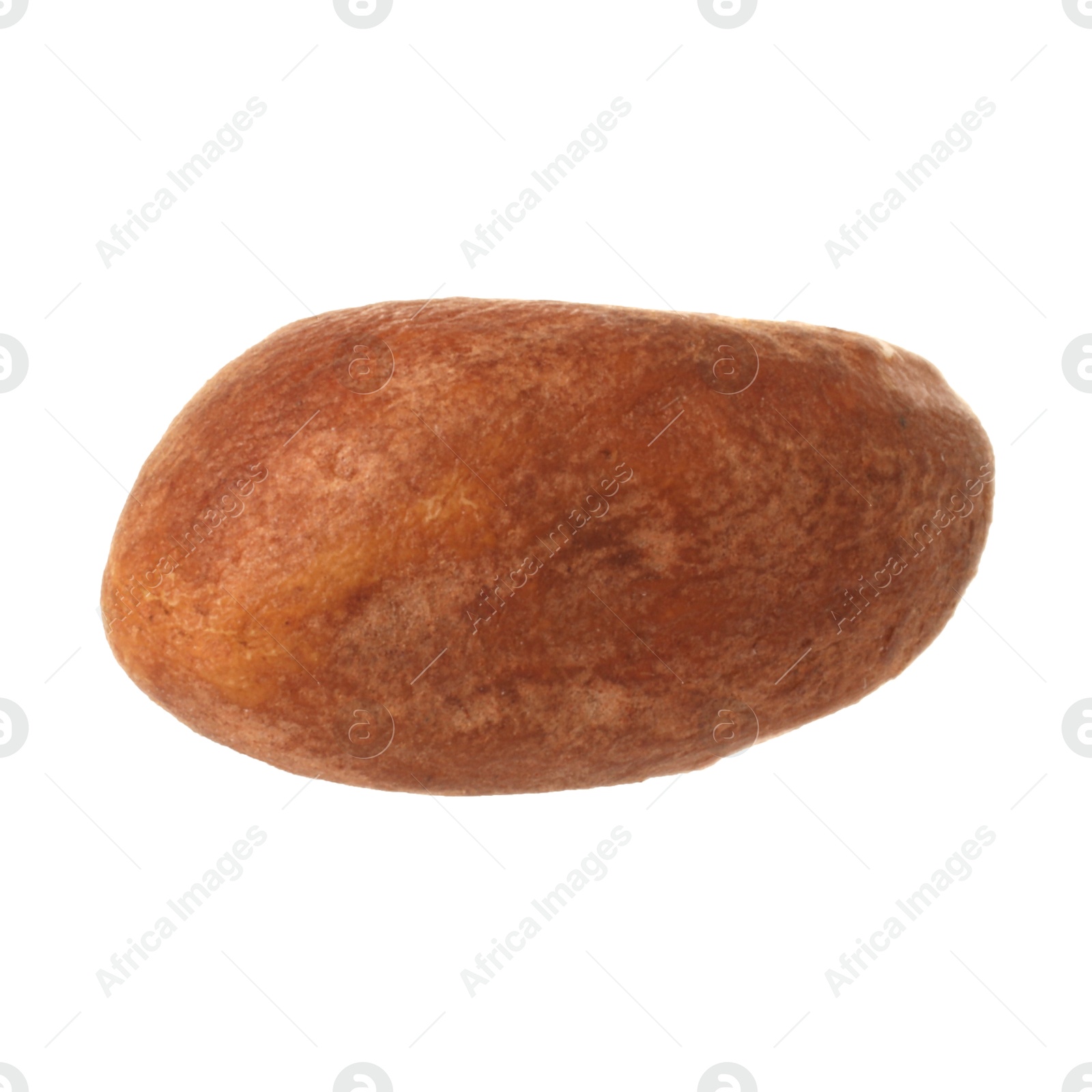 Photo of One tasty Brazil nut isolated on white