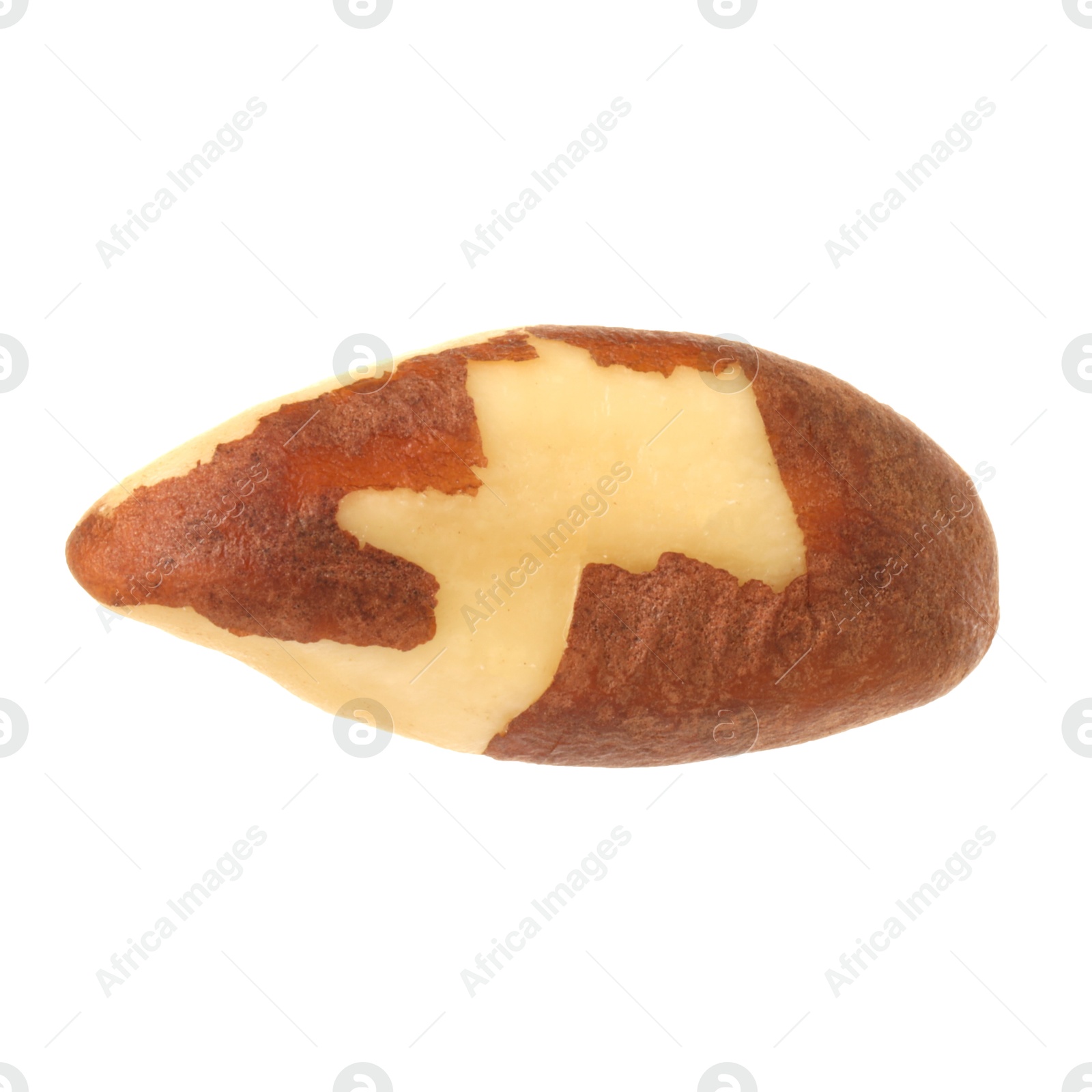 Photo of One tasty Brazil nut isolated on white