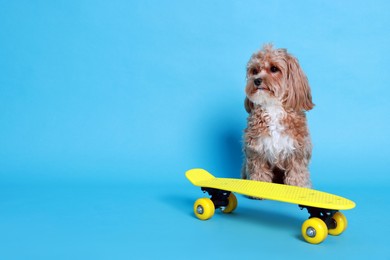 Photo of Cute Maltipoo dog with mini penny board against light blue background. Space for text