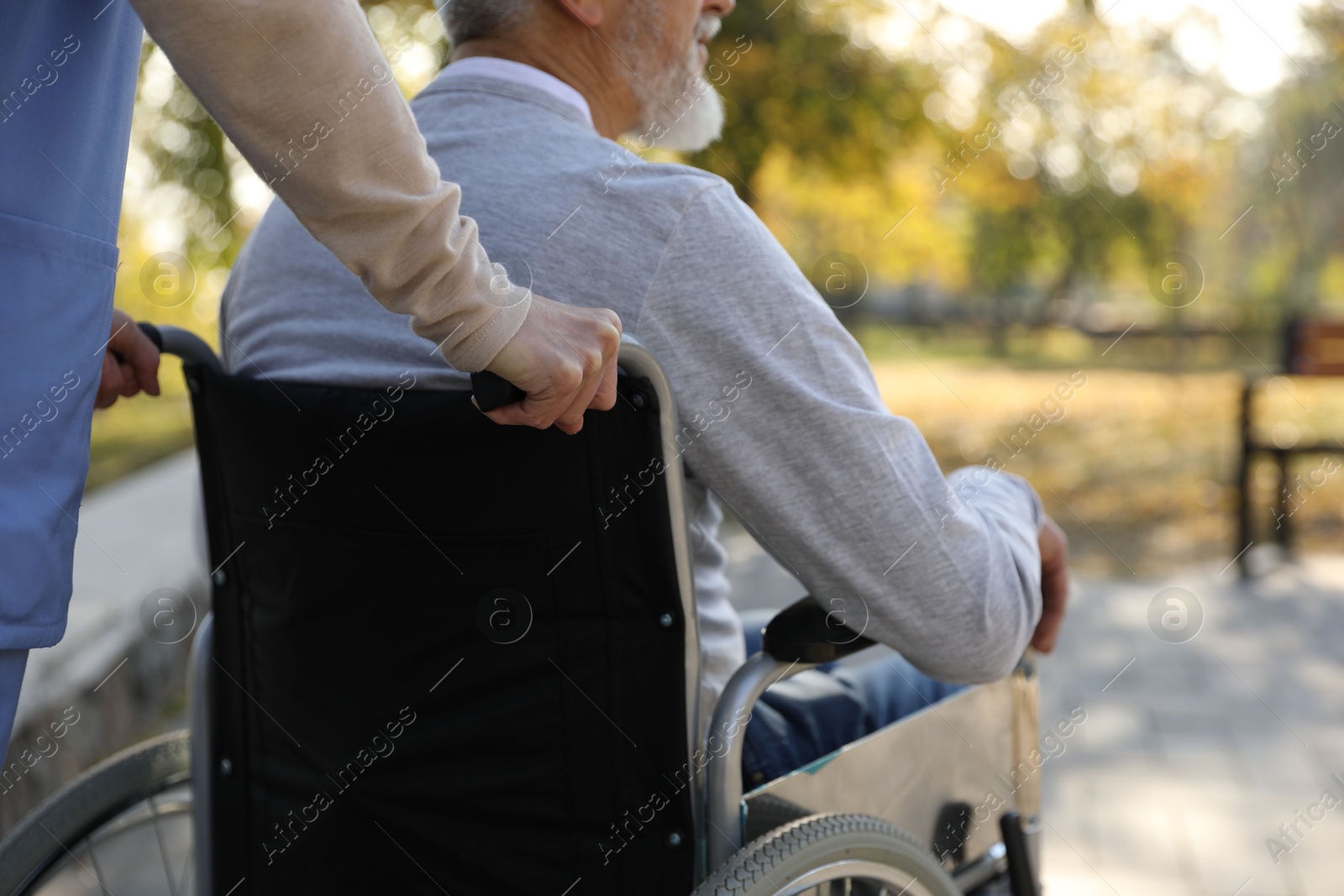 Photo of Caregiver assisting senior man on wheelchair in park, closeup. Home health care service