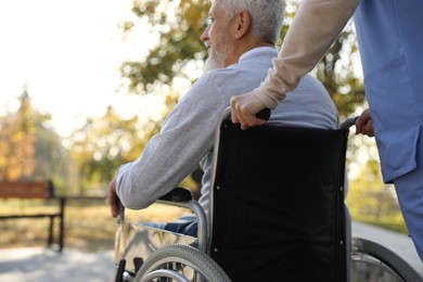 Photo of Caregiver assisting senior man on wheelchair in park, back view. Home health care service