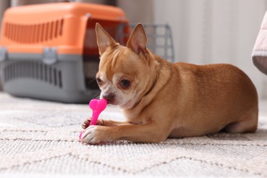 Photo of Adorable dog with toy and pet carrier on floor indoors, selective focus