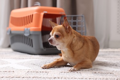 Photo of Adorable dog and pet carrier on floor indoors, selective focus