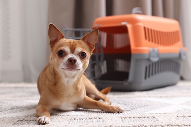 Photo of Adorable dog and pet carrier on floor indoors, selective focus