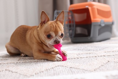 Photo of Adorable dog with toy and pet carrier on floor indoors, selective focus