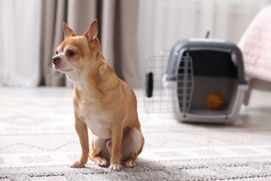 Photo of Adorable dog and pet carrier on floor indoors, selective focus