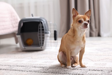 Photo of Adorable dog and pet carrier on floor indoors, selective focus