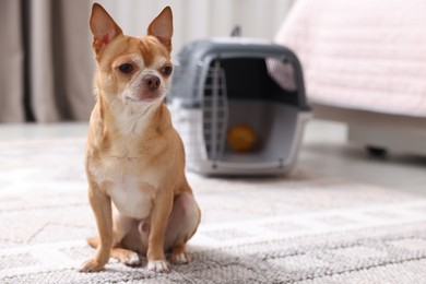 Photo of Adorable dog and pet carrier on floor indoors, selective focus