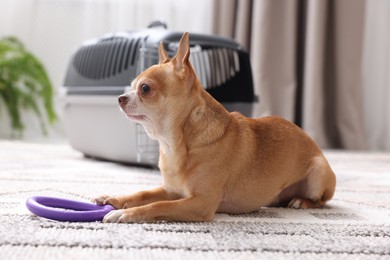 Photo of Adorable dog with toy and pet carrier on floor indoors, selective focus