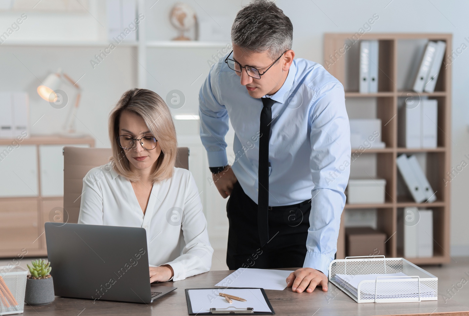 Photo of Middle aged employees working together in office