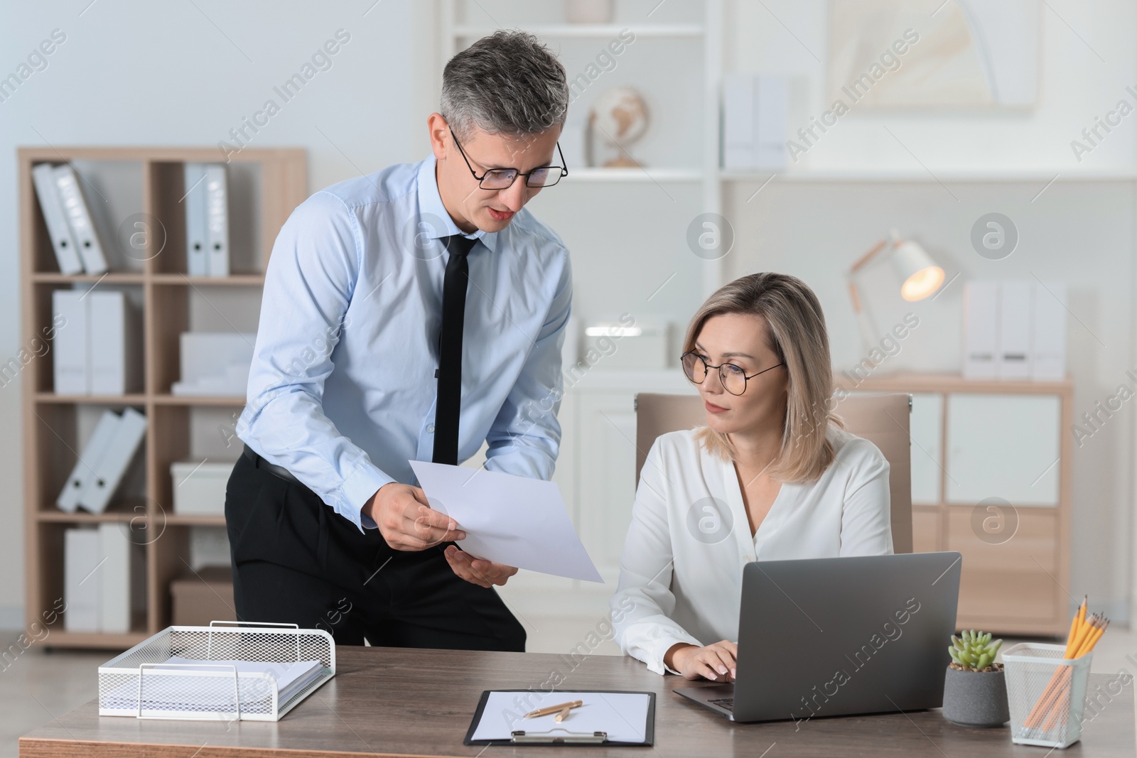 Photo of Middle aged employees working together in office