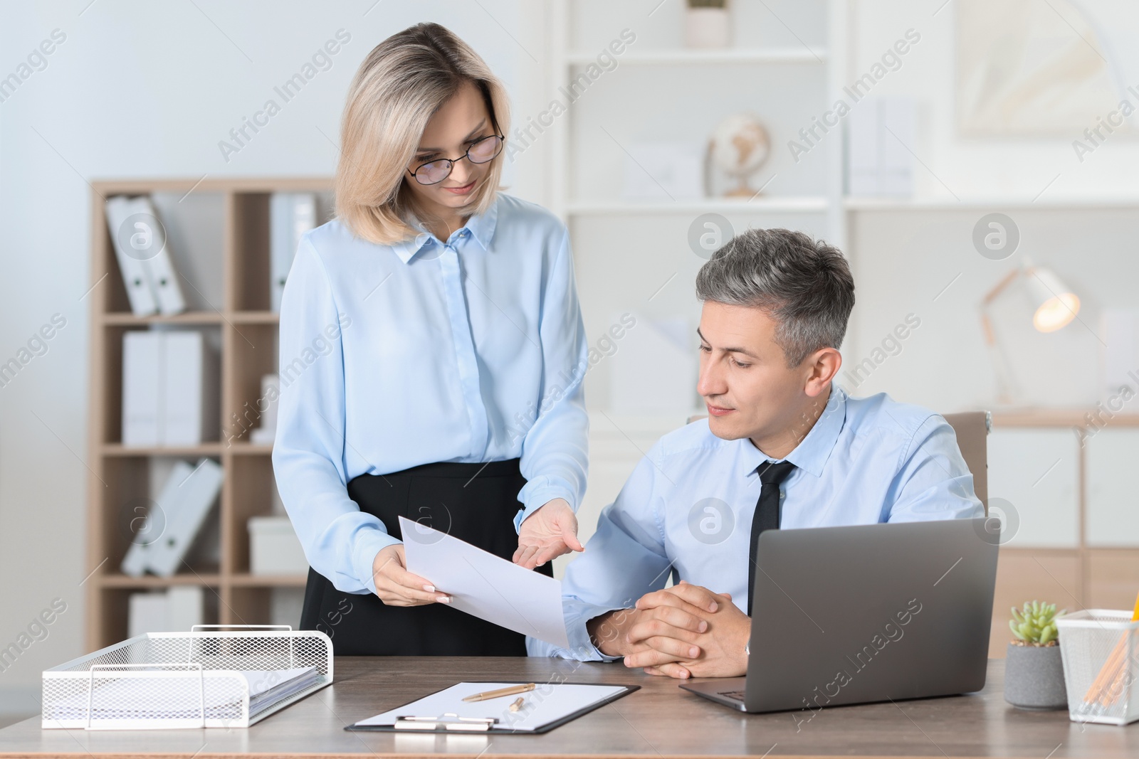 Photo of Middle aged employees working together in office