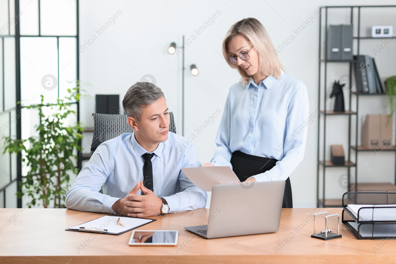 Photo of Middle aged employees working together in office