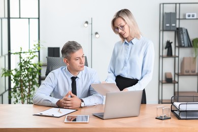 Middle aged employees working together in office