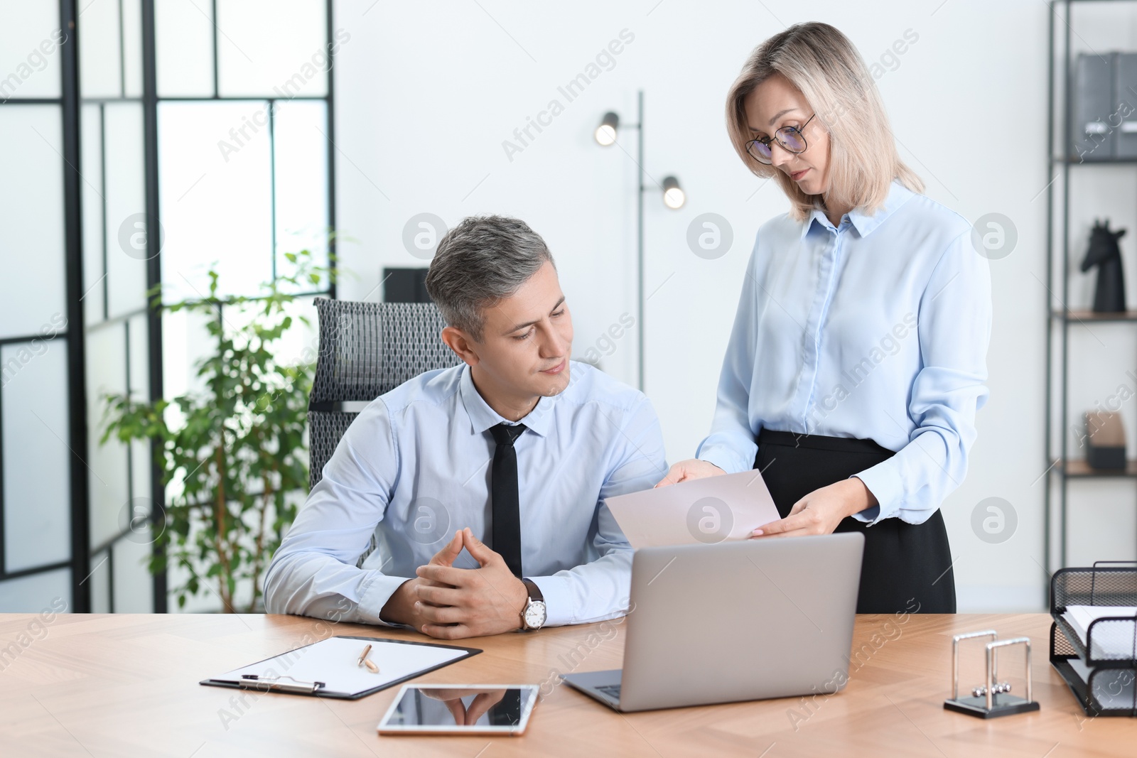 Photo of Middle aged employees working together in office