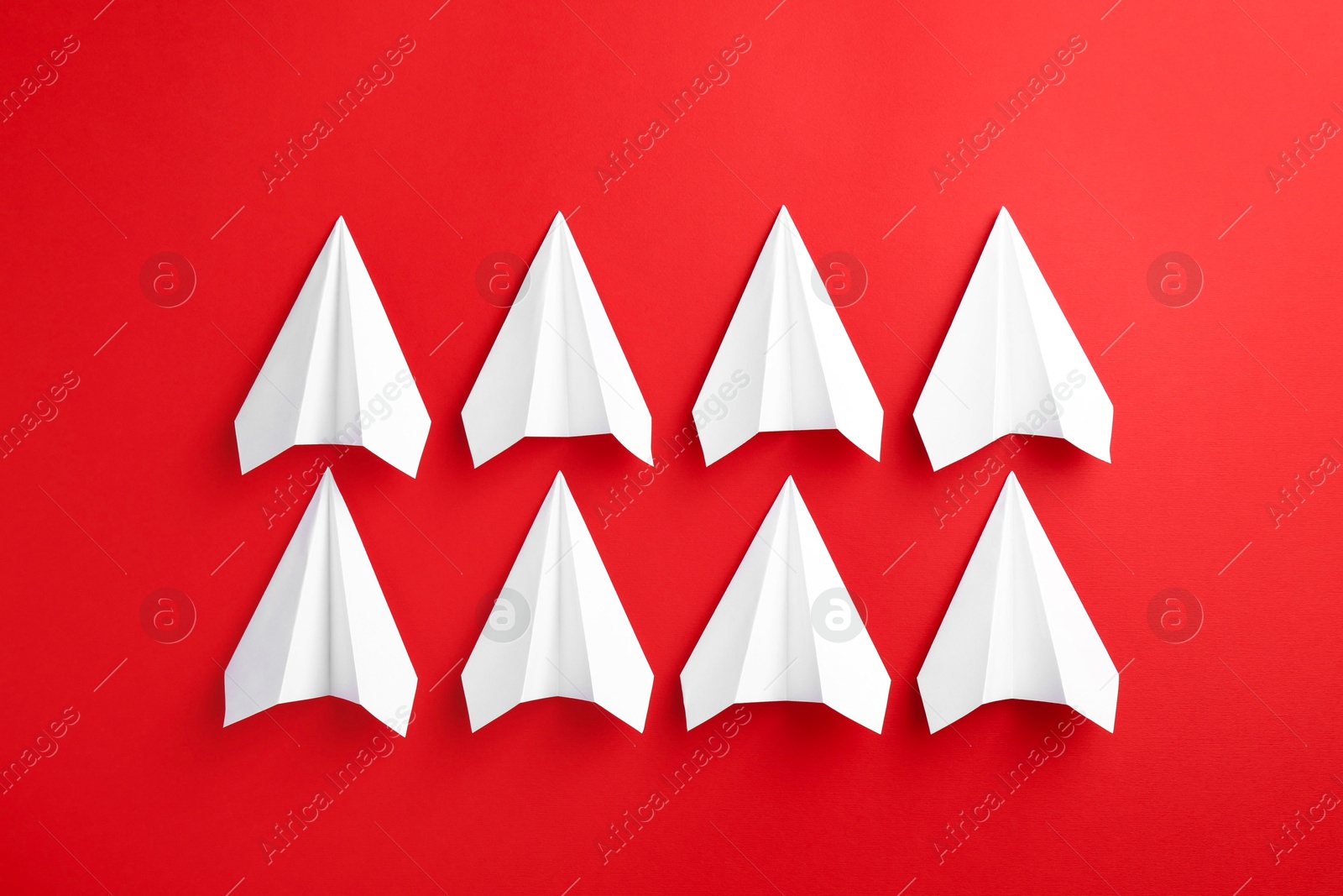 Photo of White paper planes on red background, top view