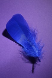 Photo of Fluffy blue feather on purple background, top view