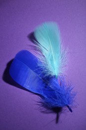 Photo of Fluffy blue feathers on purple background, top view