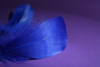 Photo of Fluffy blue feathers on purple background, closeup