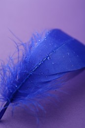 Photo of Fluffy blue feather on purple background, closeup