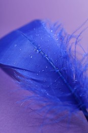 Photo of Fluffy blue feather on purple background, closeup