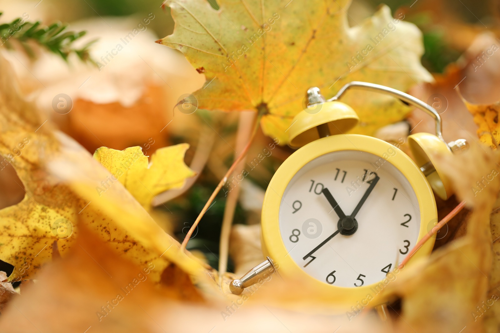 Photo of Autumn time. Alarm clock on fallen leaves, closeup with space for text