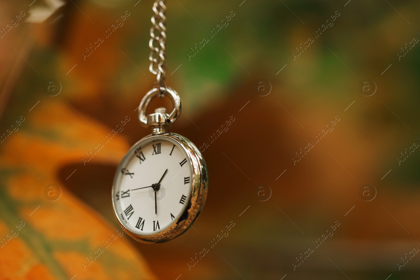 Photo of Autumn time. Chain watch on blurred background, closeup with space for text