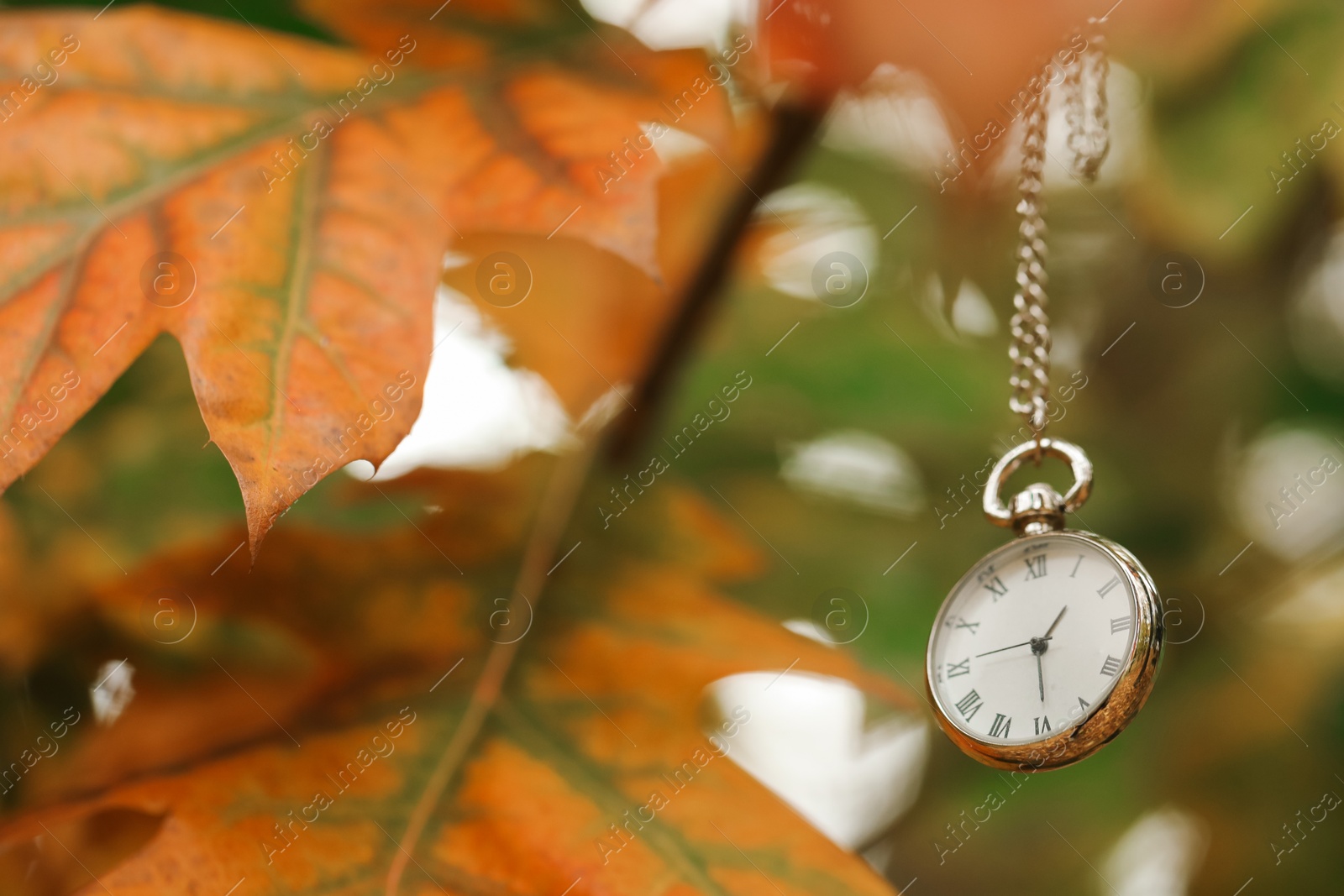 Photo of Autumn time. Chain watch on blurred background, closeup with space for text