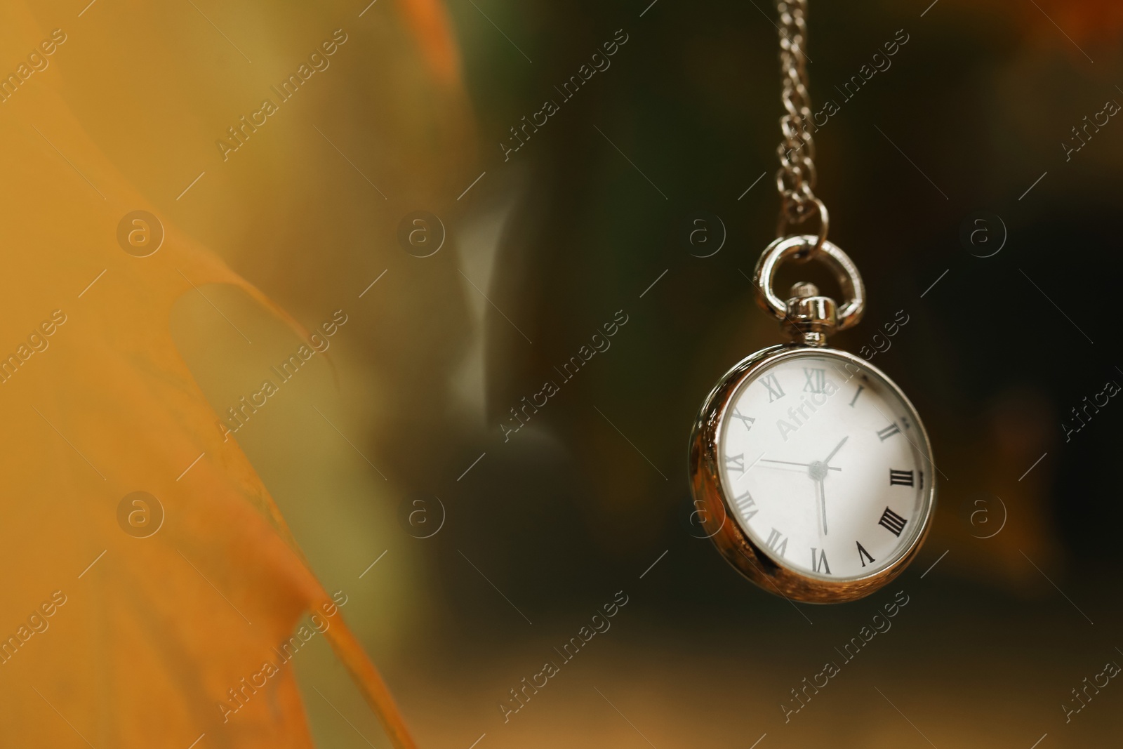 Photo of Autumn time. Chain watch on blurred background, closeup with space for text