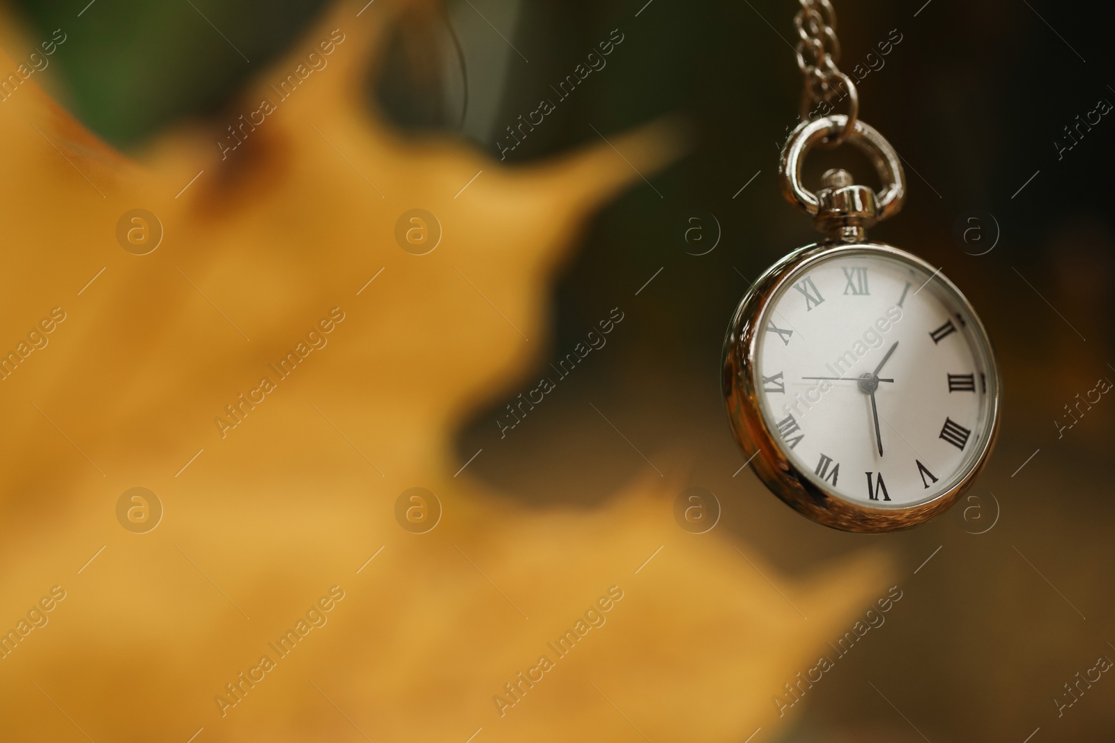 Photo of Autumn time. Chain watch on blurred background, closeup with space for text