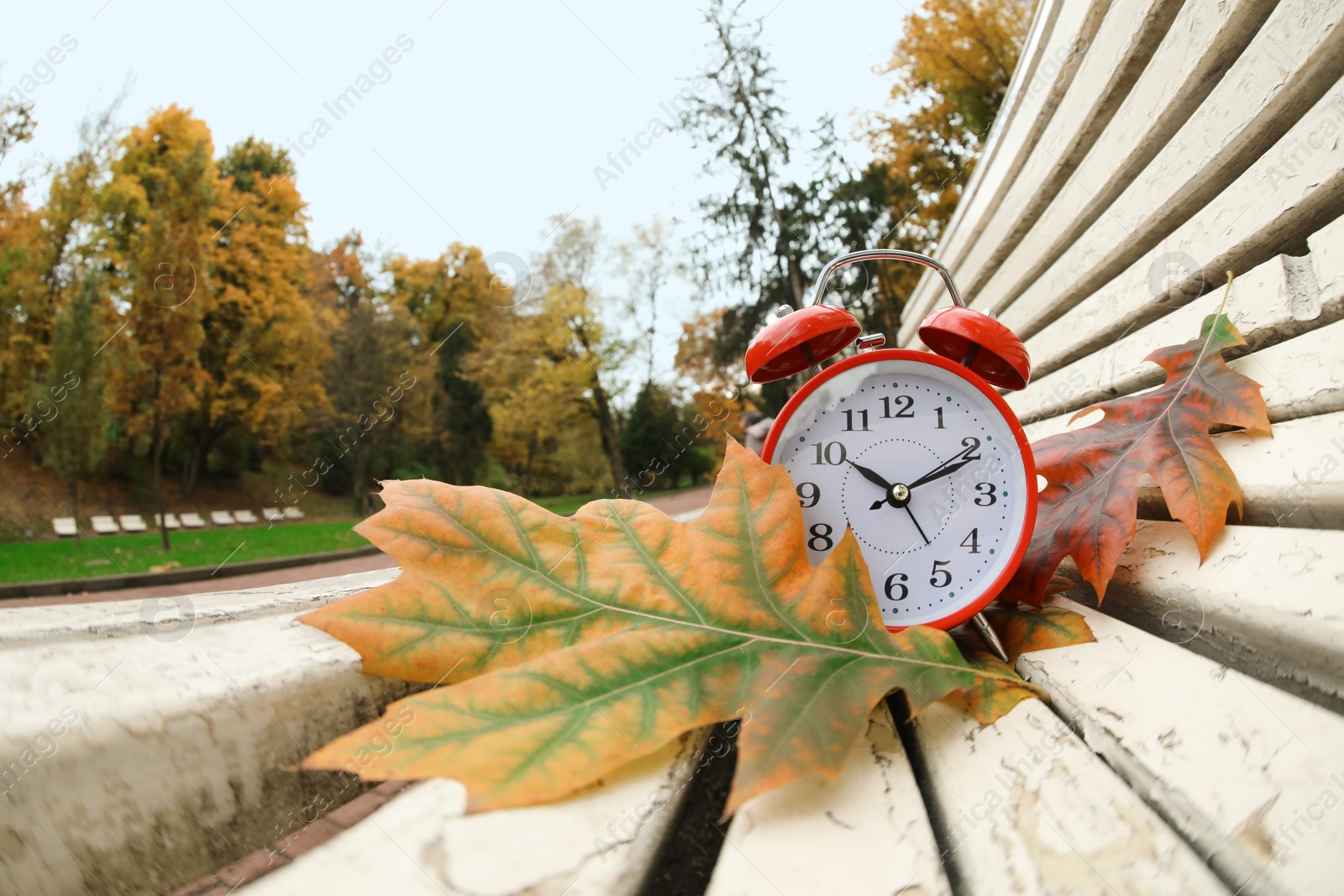 Photo of Autumn time. Alarm clock and fallen leaves on bench in park, wide angle lens