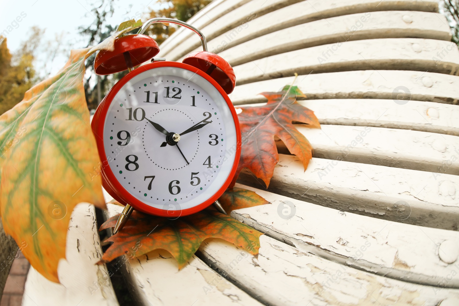 Photo of Autumn time. Alarm clock and fallen leaves on bench in park, wide angle lens