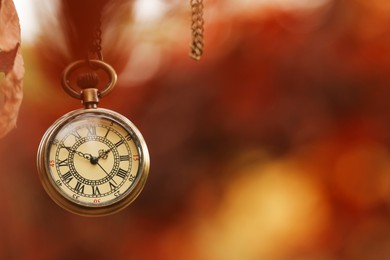 Photo of Autumn time. Chain watch hanging on tree in park, selective focus. Space for text