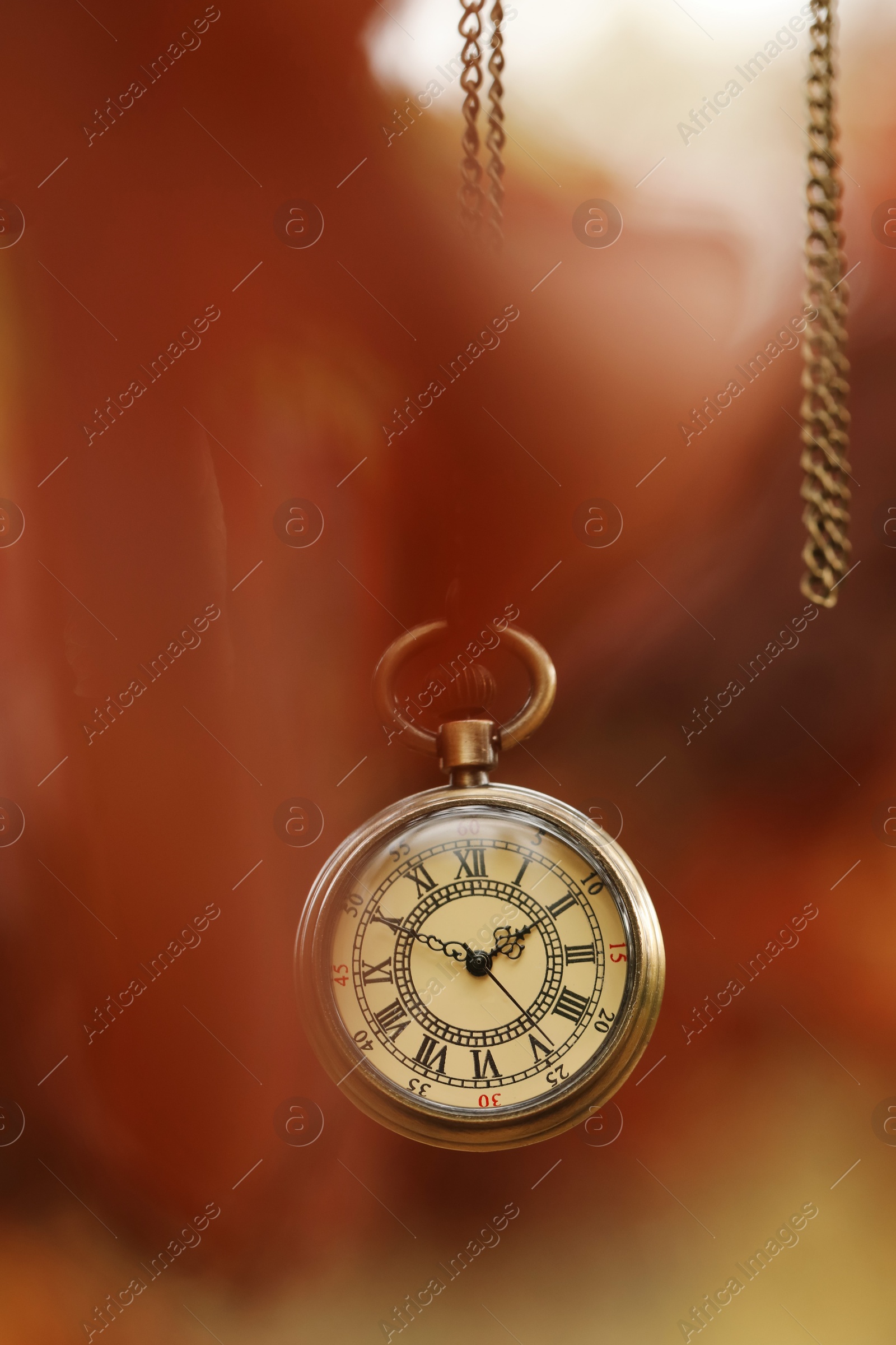 Photo of Autumn time. Chain watch hanging on tree in park, selective focus. Space for text