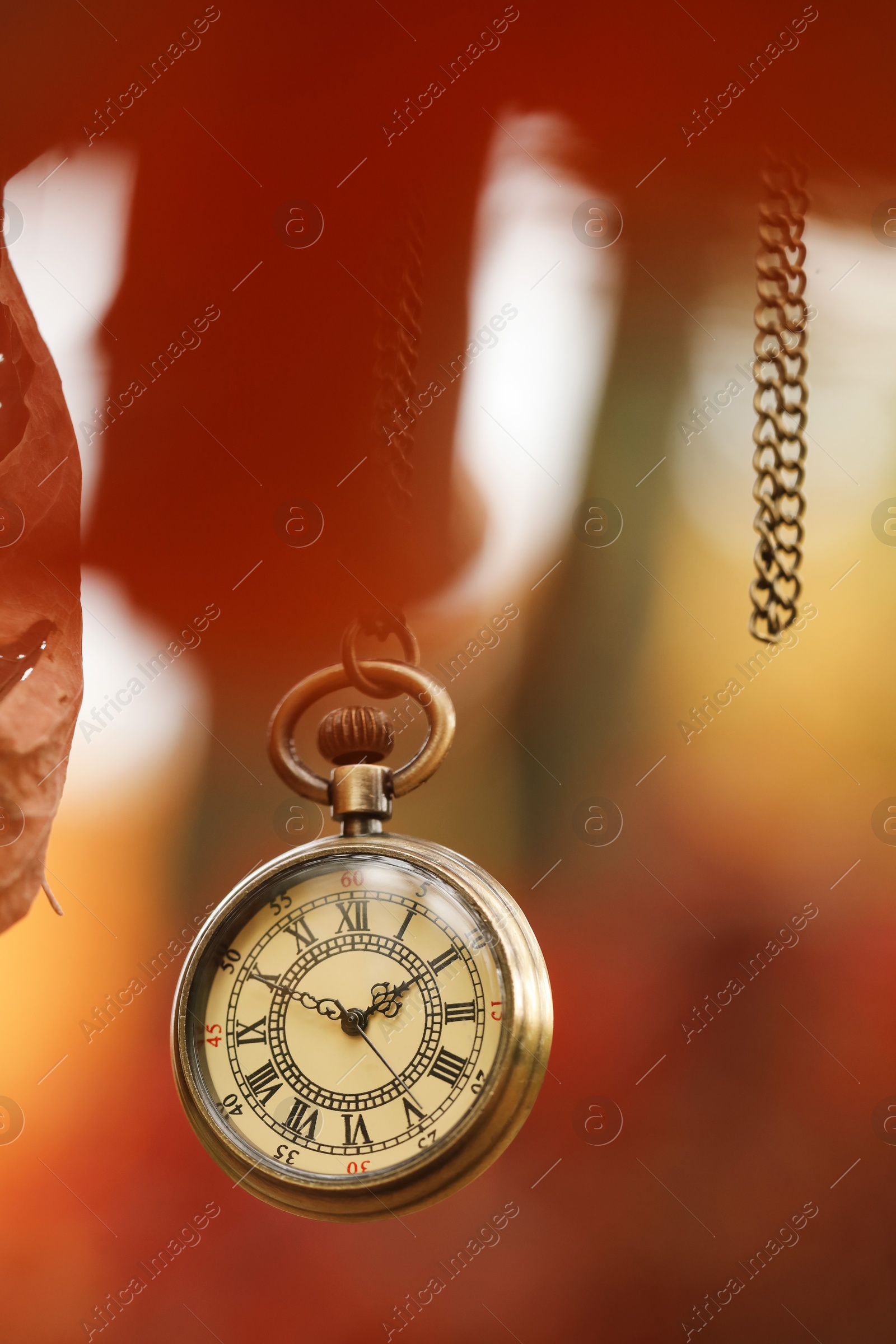 Photo of Autumn time. Chain watch hanging on tree in park, selective focus. Space for text