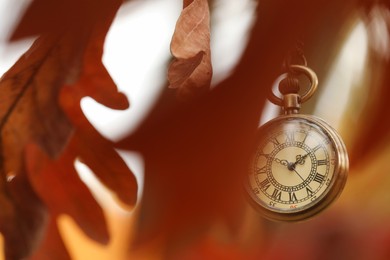 Photo of Autumn time. Chain watch hanging on tree in park, selective focus. Space for text