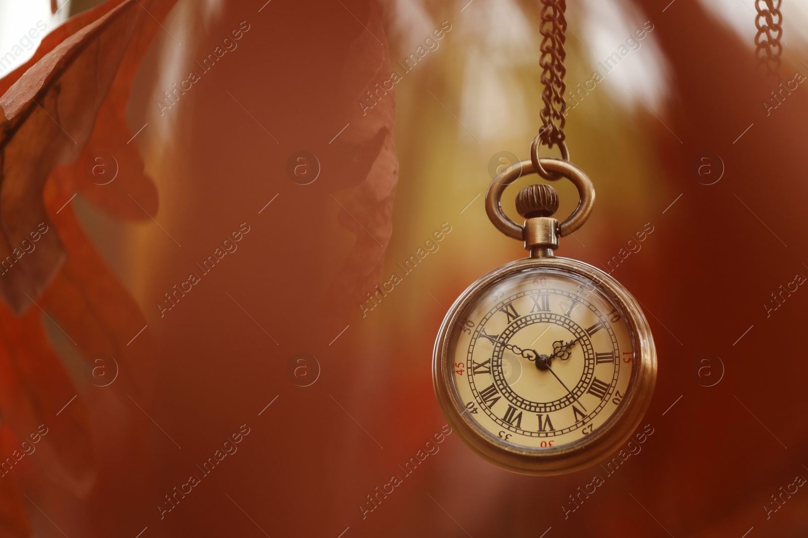 Photo of Autumn time. Chain watch hanging on tree in park, selective focus. Space for text